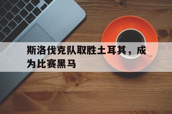 斯洛伐克队取胜土耳其，成为比赛黑马